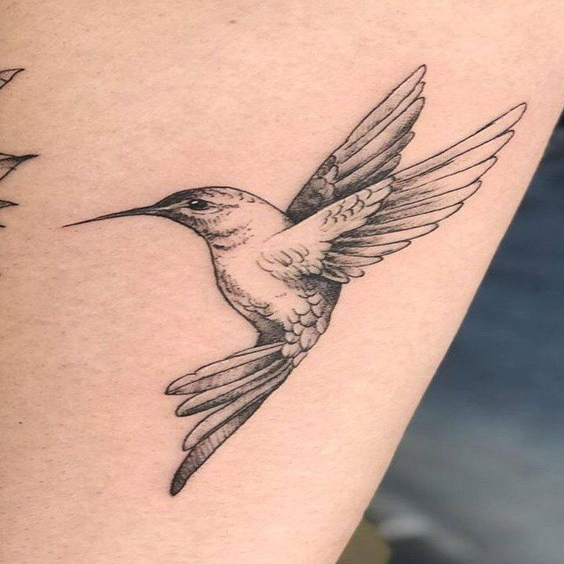 colibri tatto Nokahlotattoo